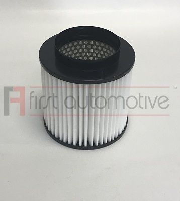 1A FIRST AUTOMOTIVE Gaisa filtrs A63684